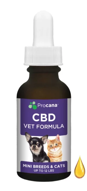 CBD Vet Formula Mini Breeds & Cats