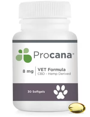 cbd-vet-softgel Vet Formula Softgels